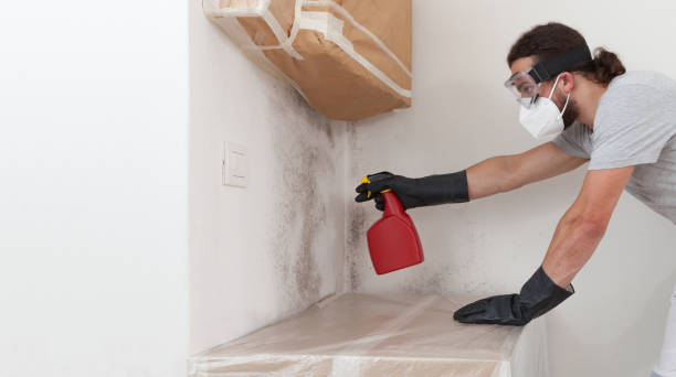 Professional Bathroom Mold Removal technician working in Elizabeth, NJ